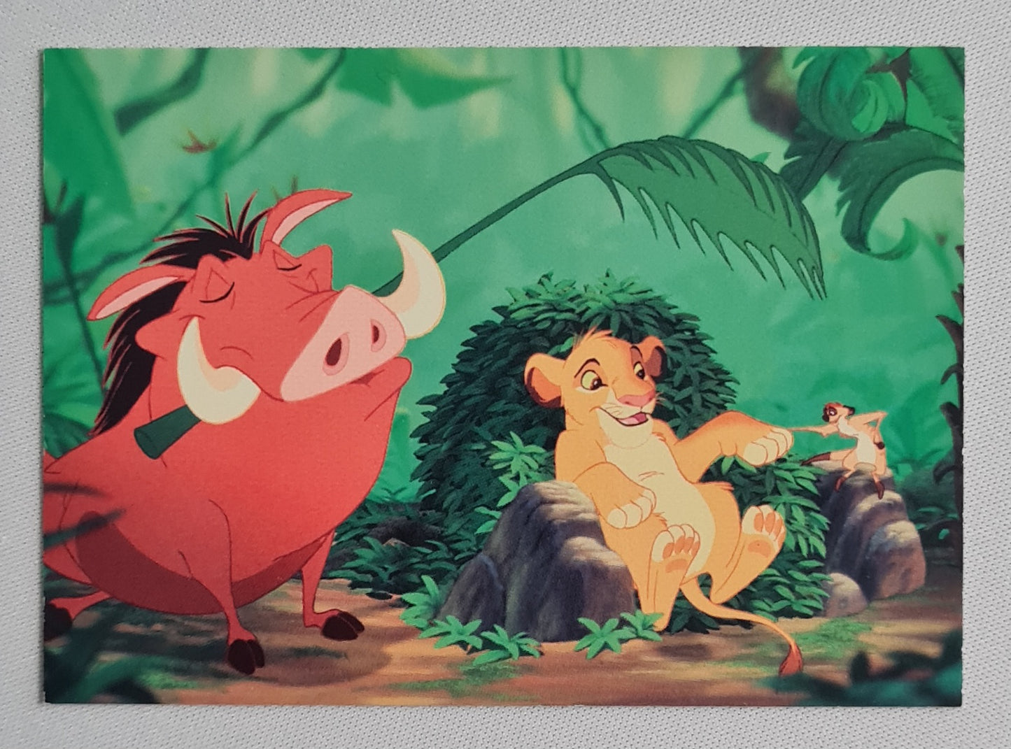 Lion King - Disney The Lion King Series II "Outcasts Together" #139