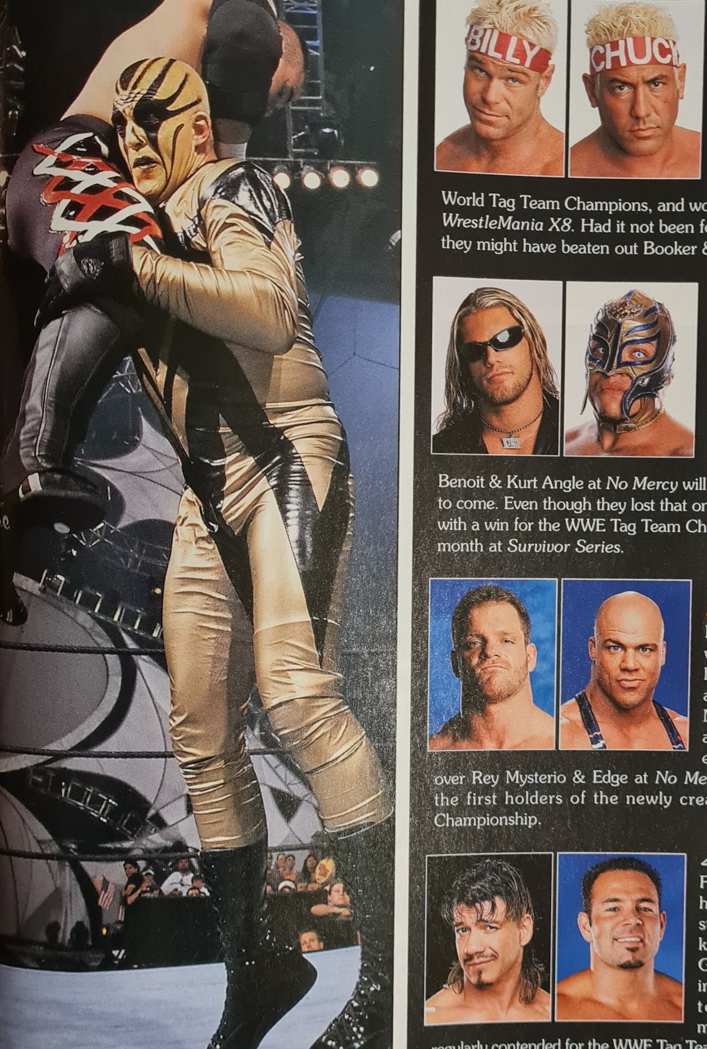 World Wrestling Entertainment Magazine - 2003 Feb Edition (printed USA) "Best of 2002"