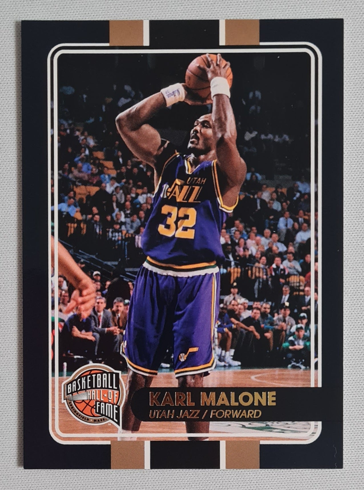 NBA Basketball (lot of 12 Cards) - 2010 Panini Basketball Hall of Fame 12x /199