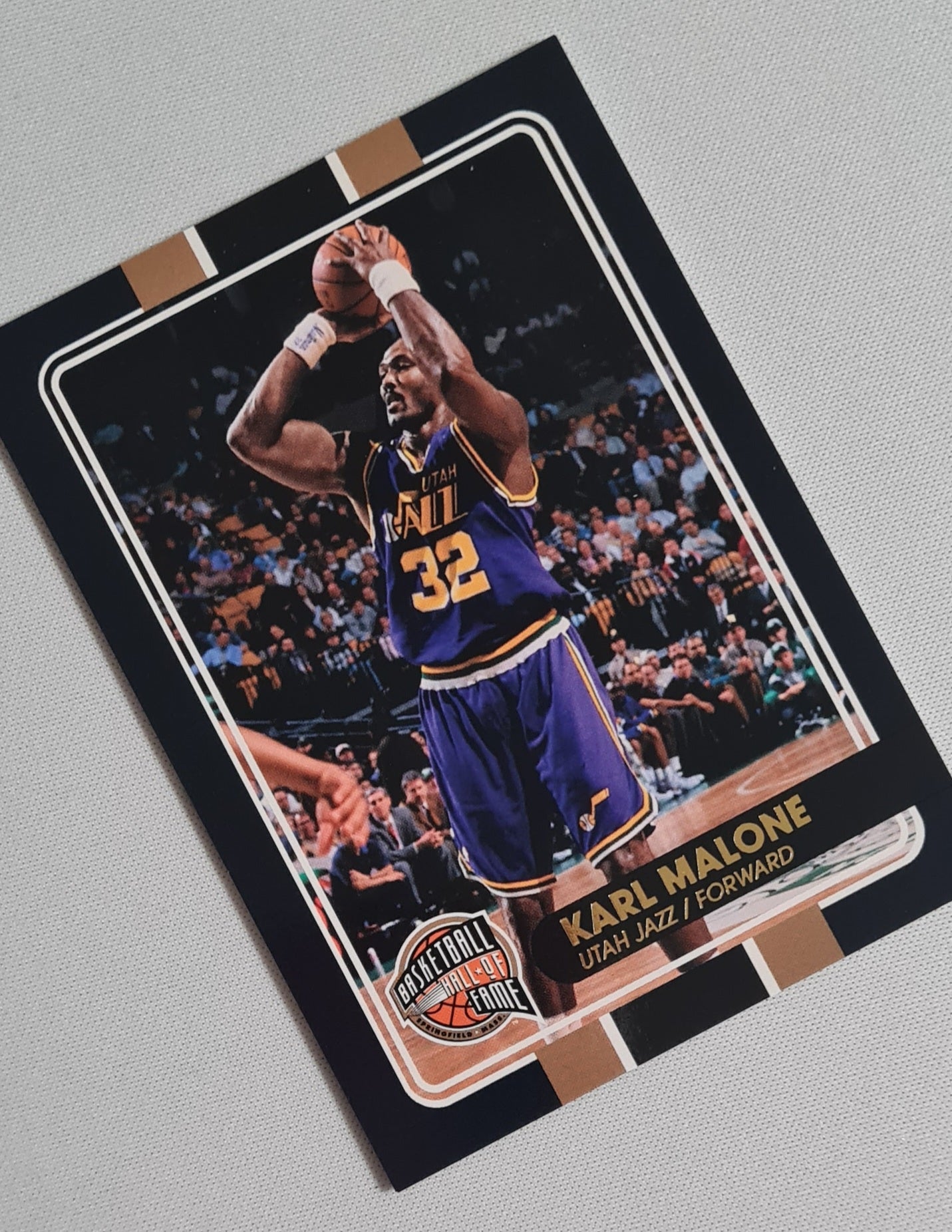 NBA Basketball (lot of 12 Cards) - 2010 Panini Basketball Hall of Fame 12x /199