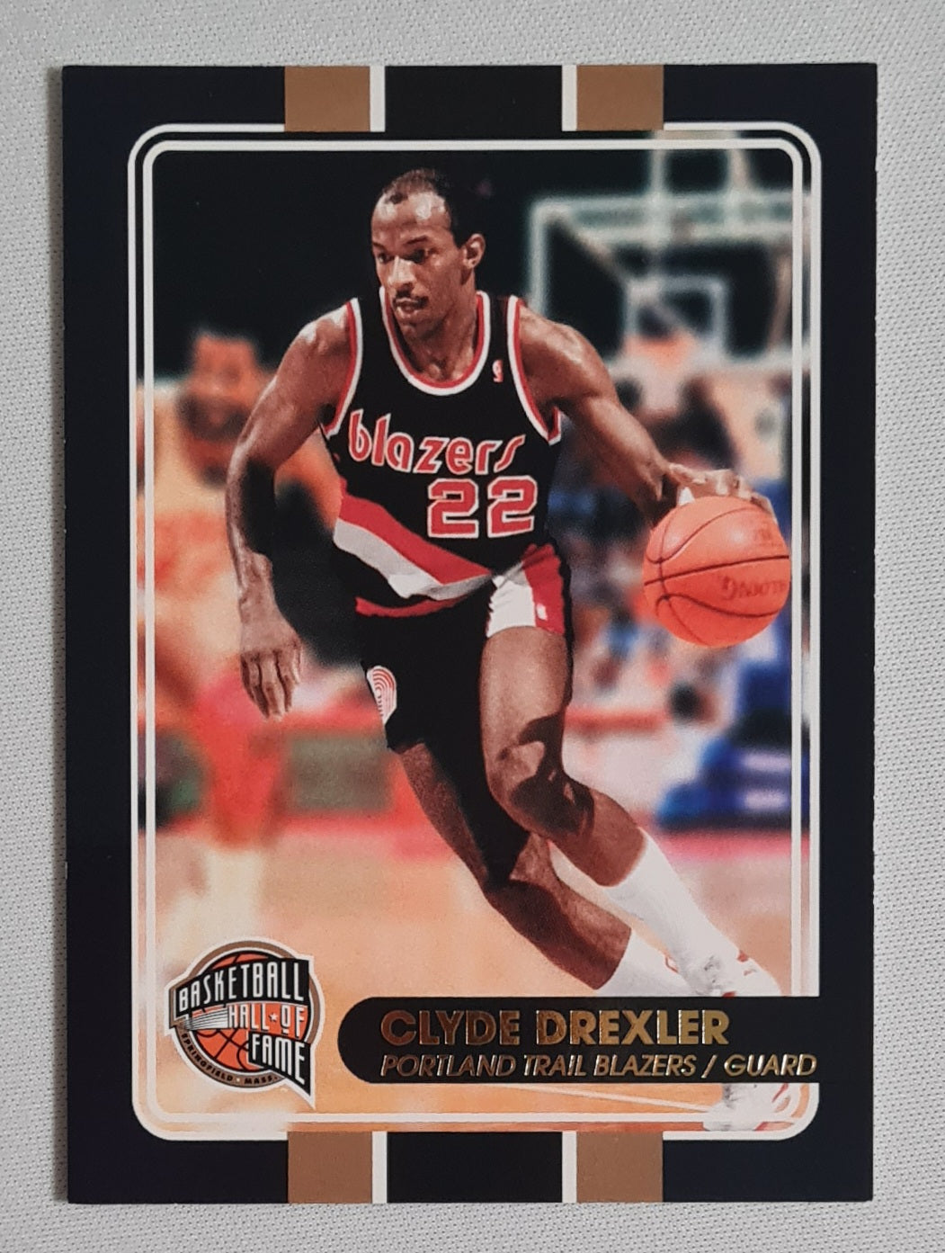 NBA Basketball (lot of 12 Cards) - 2010 Panini Basketball Hall of Fame 12x /199