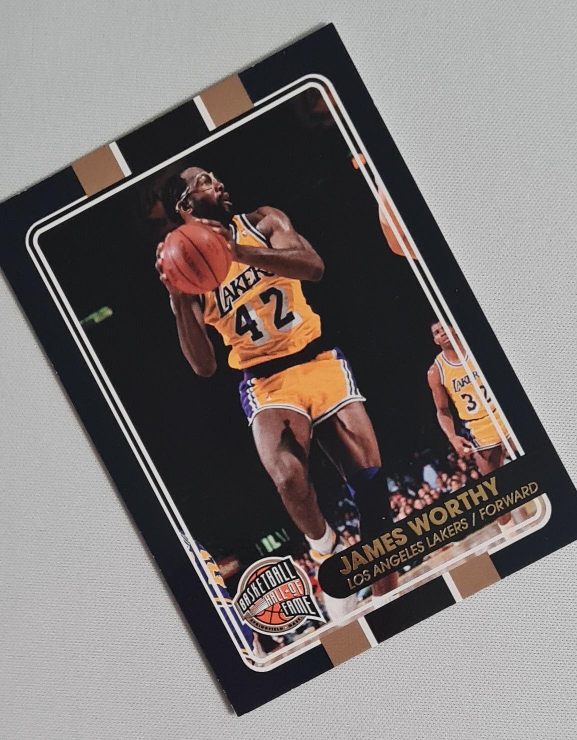NBA Basketball (lot of 12 Cards) - 2010 Panini Basketball Hall of Fame 12x /199