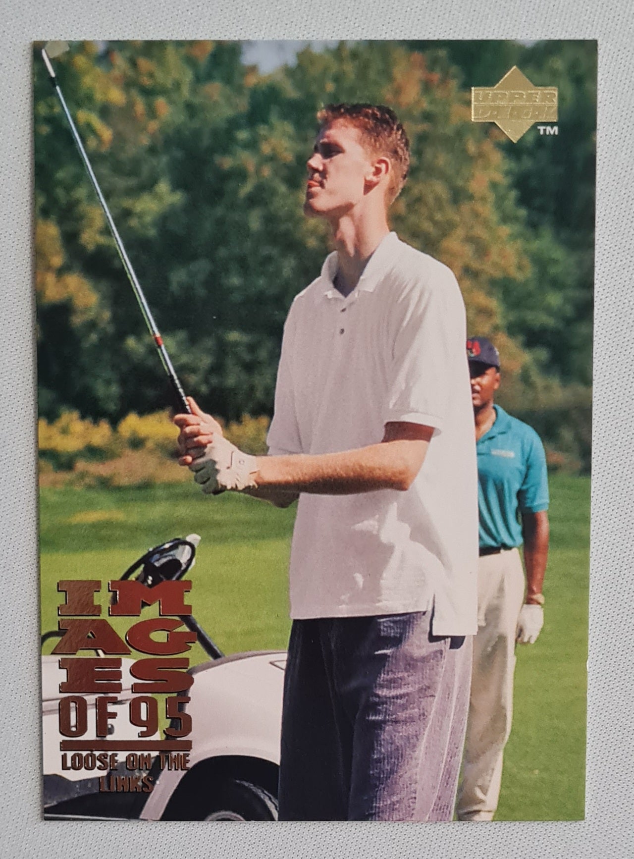 Shawn Bradley - 1995 Upper Deck Hologram Combination Loose on the Links (Nets) #331