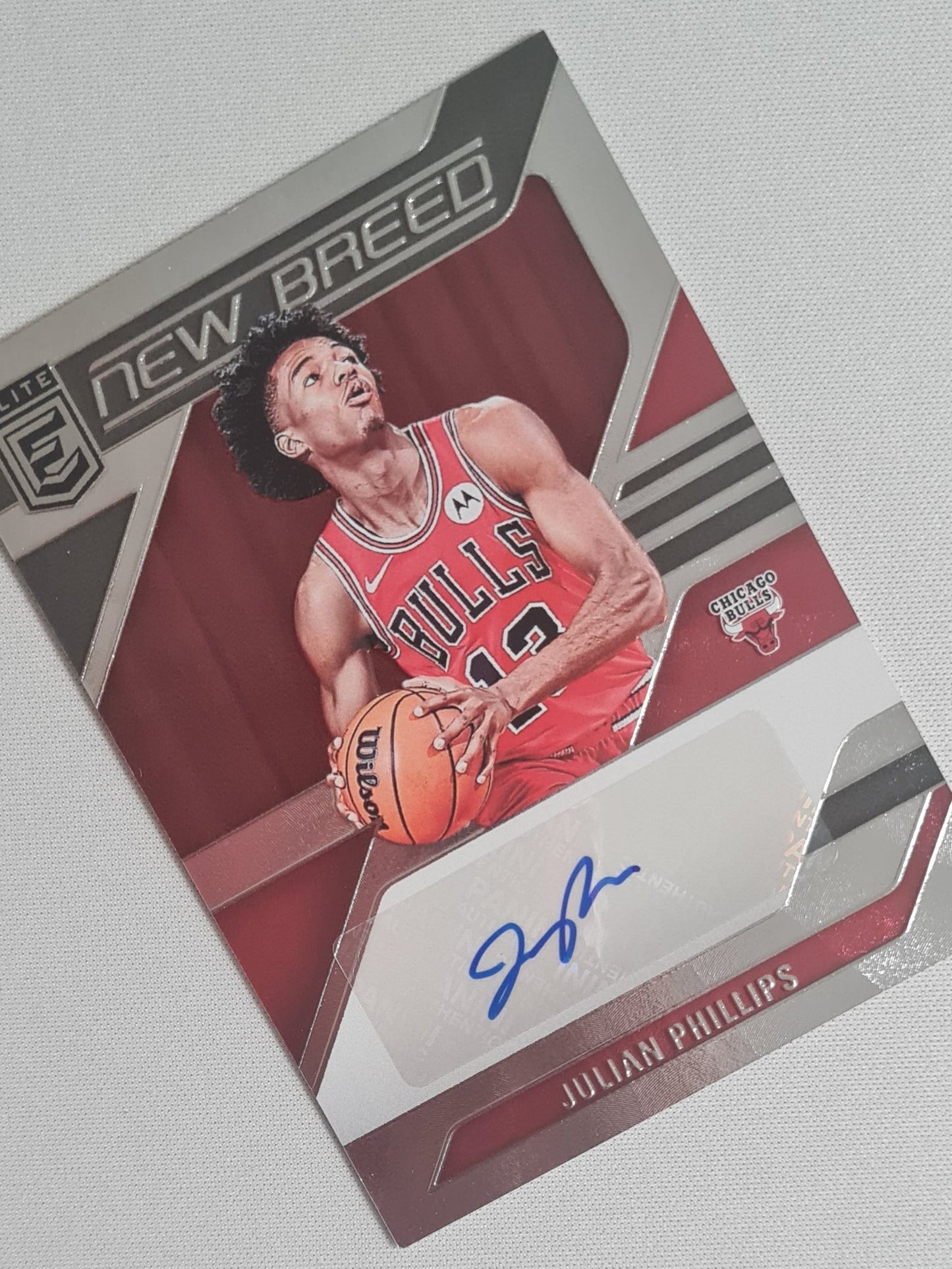 Julian Phillips - 2023/24 Panini Donruss Elite New Breed Auto #NB-JUL Chicago Bulls