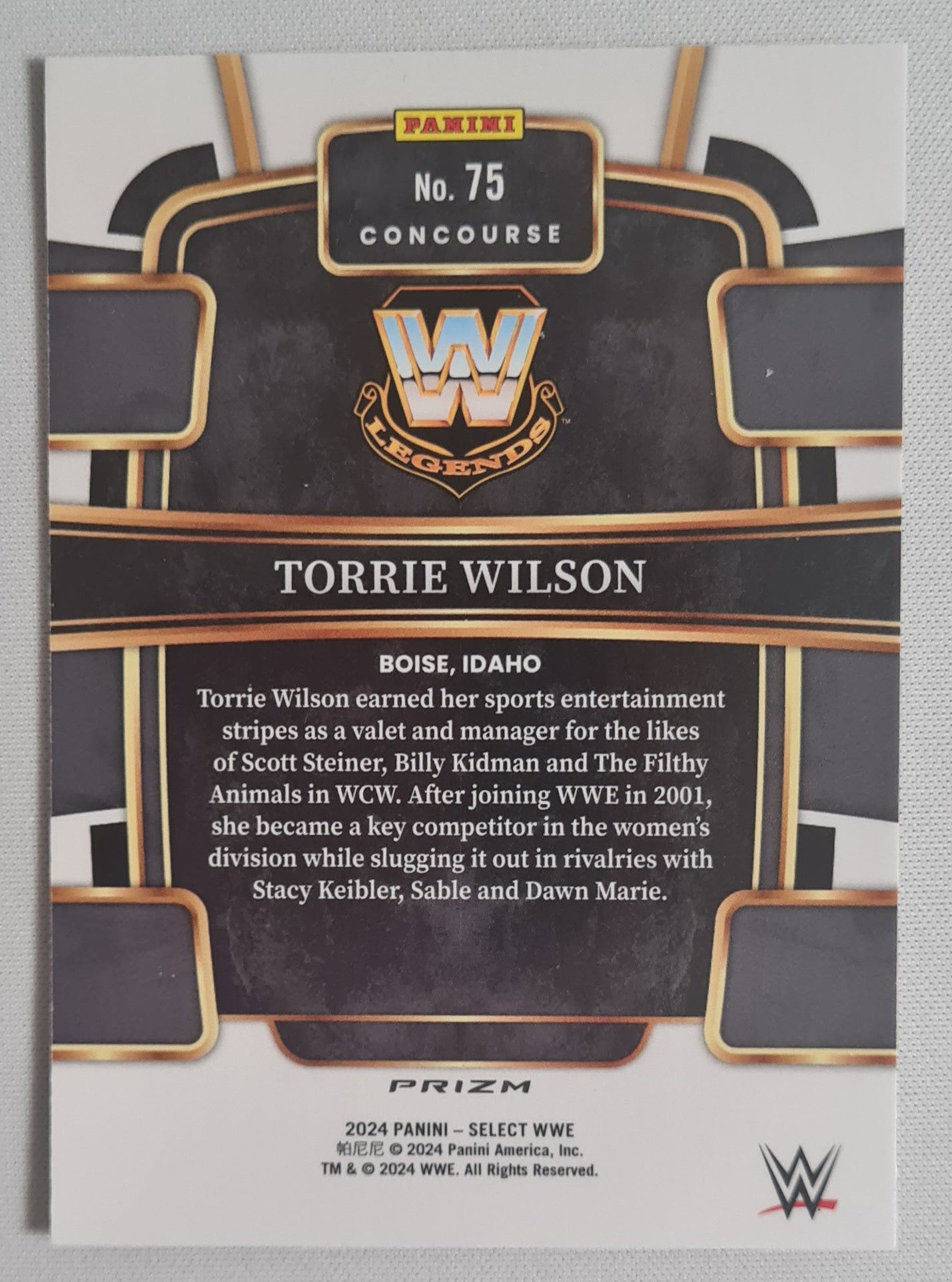 Torrie Wilson - 2024 Panini Select WWE Concourse Silver Prizm #75