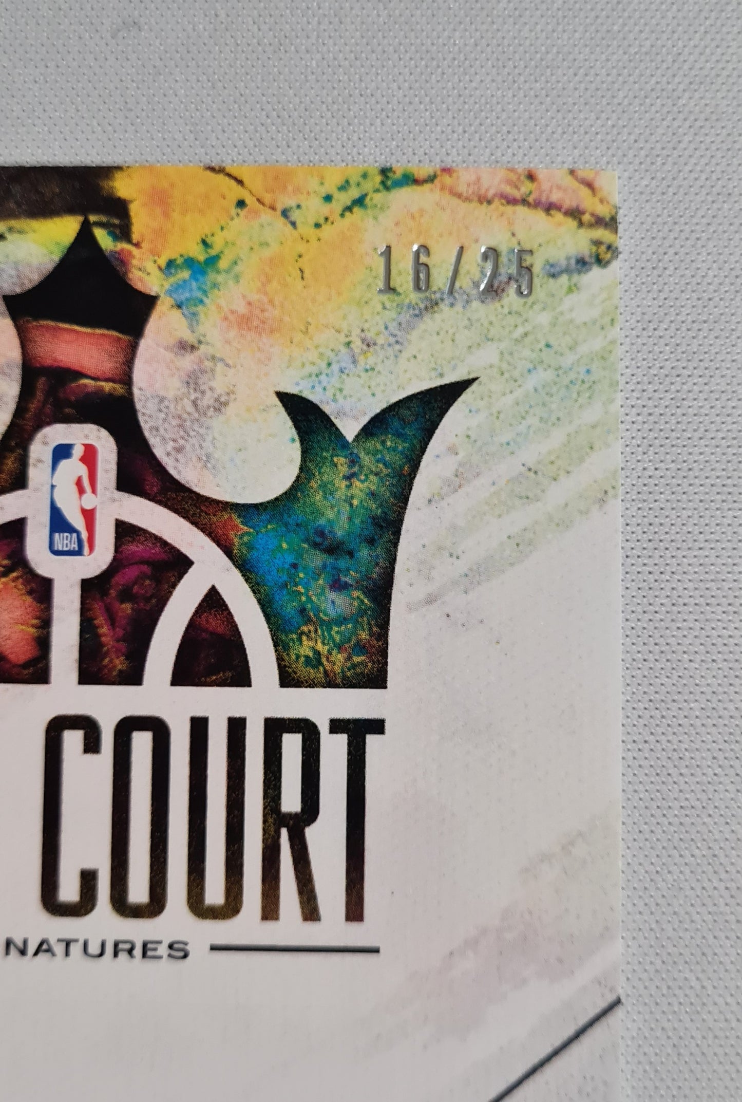 Dee Brown - 2019/20 Panini Court Kings Basketball NBA Boston Celtics #HC-DBR /25 /Autograph