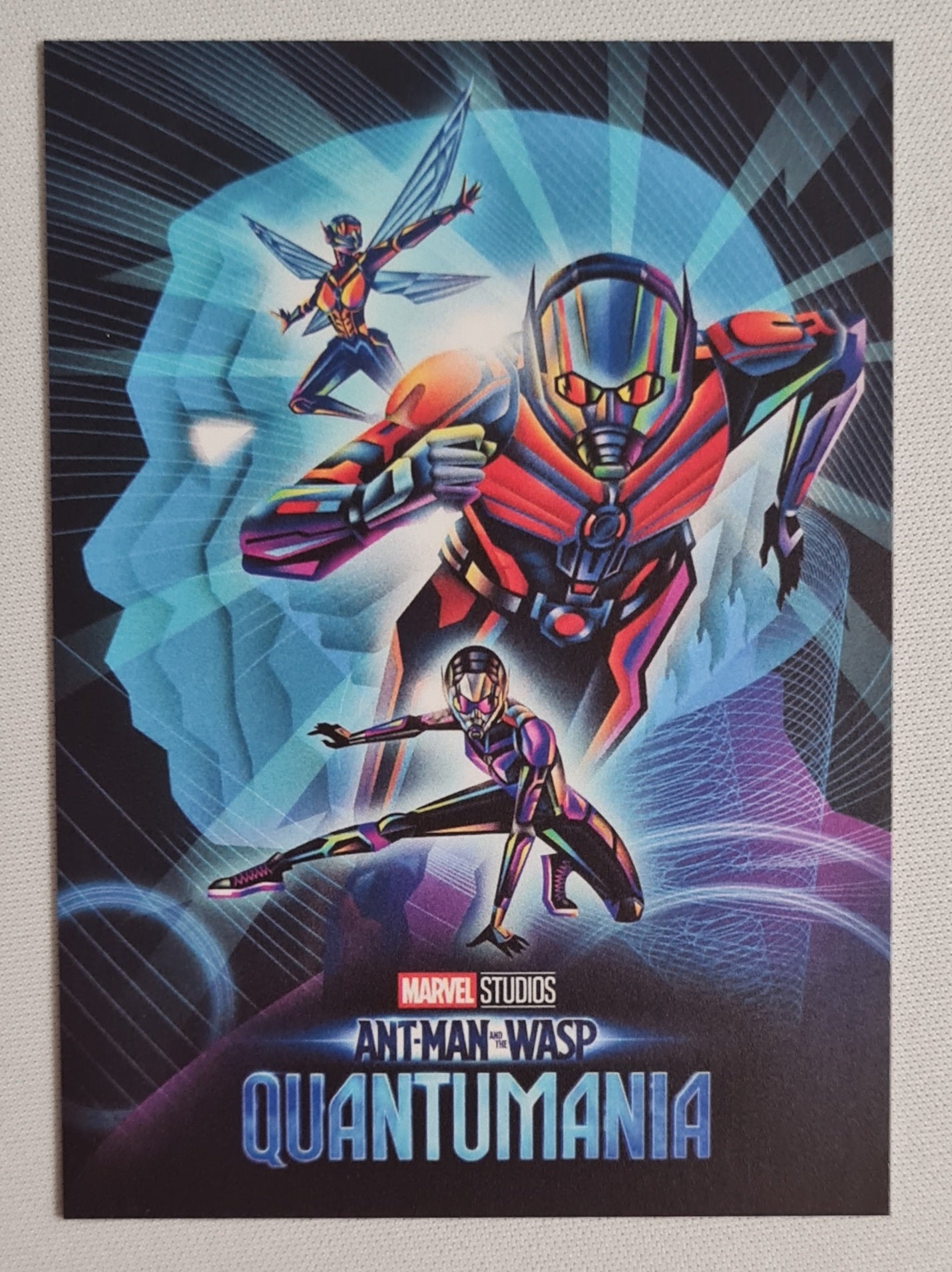 Ant Man Wasp - 2023 Marvel Studios Quantumania