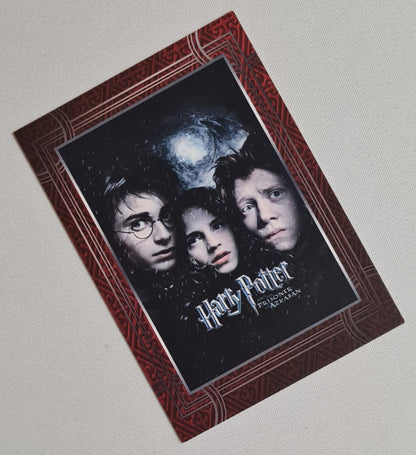 Harry Potter - Panini (italy) Wizarding World WB #55 (Movie poster style - Card)