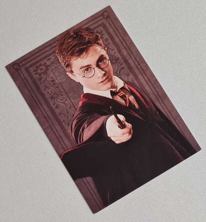 Harry Potter - Panini (italy) Wizarding World WB - Evolution Trading Card - #19