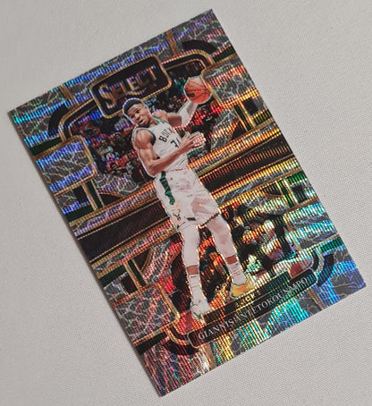 Giannis Antetokounmpo - 2023/24 Panini Select Basketball NBA Milwaukee Bucks #60 Elephant Prizm Concourse SSP