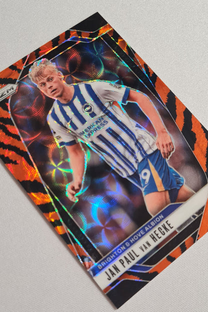 Jan Paul van Hecke - 2024/25 Panini Premier League Soccer Brighton & Hove Albion #184 Tiger