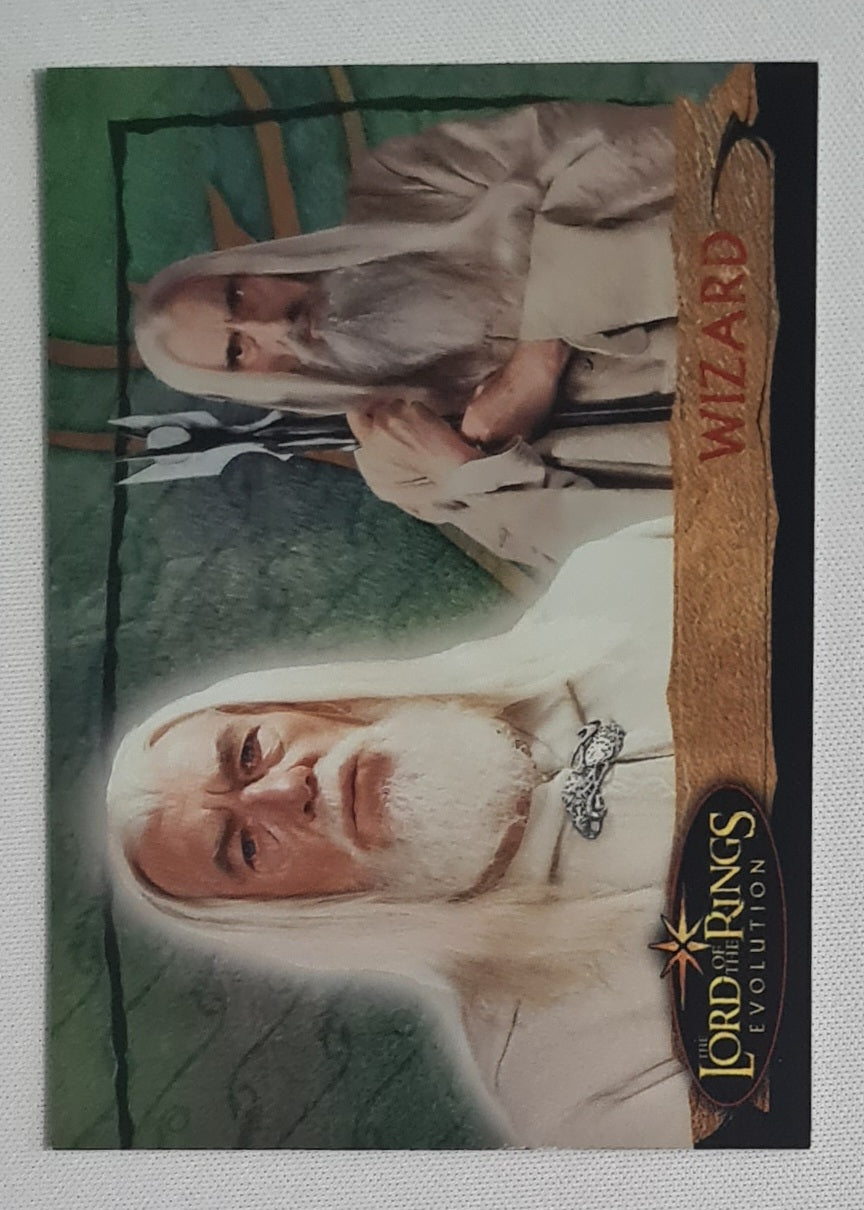 Wizard - 2006 Topps Lord of the Rings Evolution #63