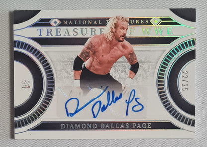 Diamond Dallas Page - 2024 Panini National Treasures WWE Treasures of WWE Auto /25 #TS-DDP