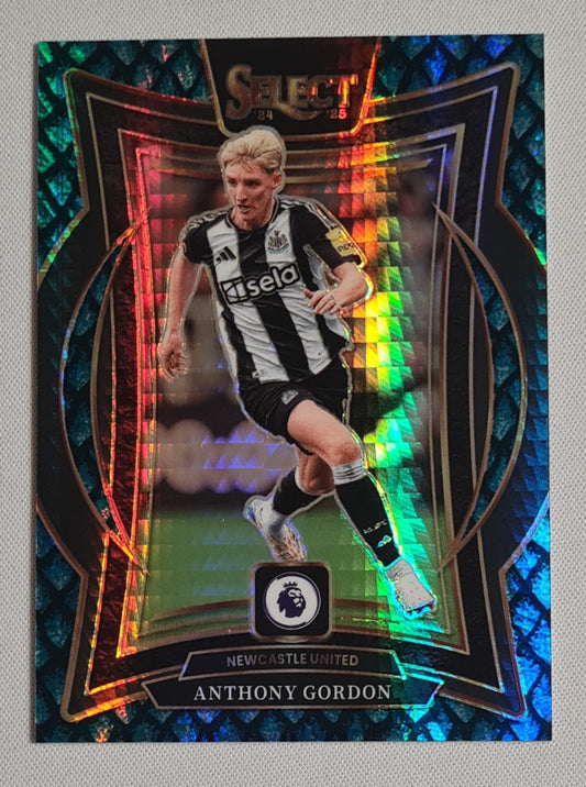 Anthony Gordon - 2024/25 Panini Select Premier League Dragon Scale /48 #88 Newcastle United