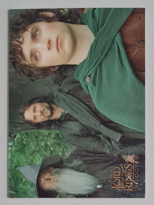 Lord of the Rings Trilogy - 2004 Topps Chrome #P1