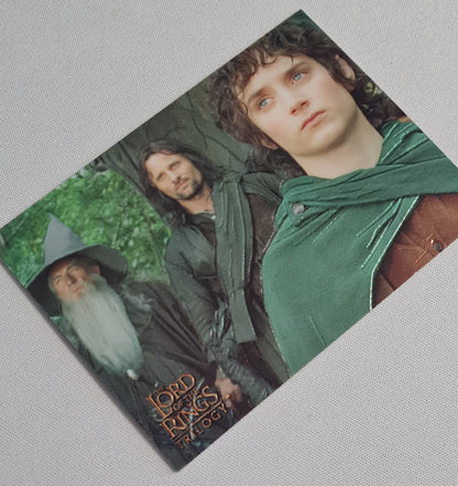 Lord of the Rings Trilogy - 2004 Topps Chrome #P1