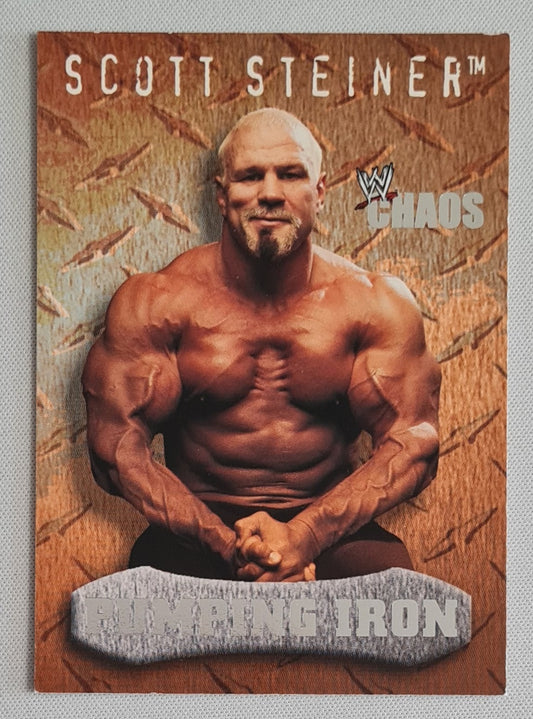 Scott Steiner - 2004 Fleer WWE Chaos Pumping Iron #92